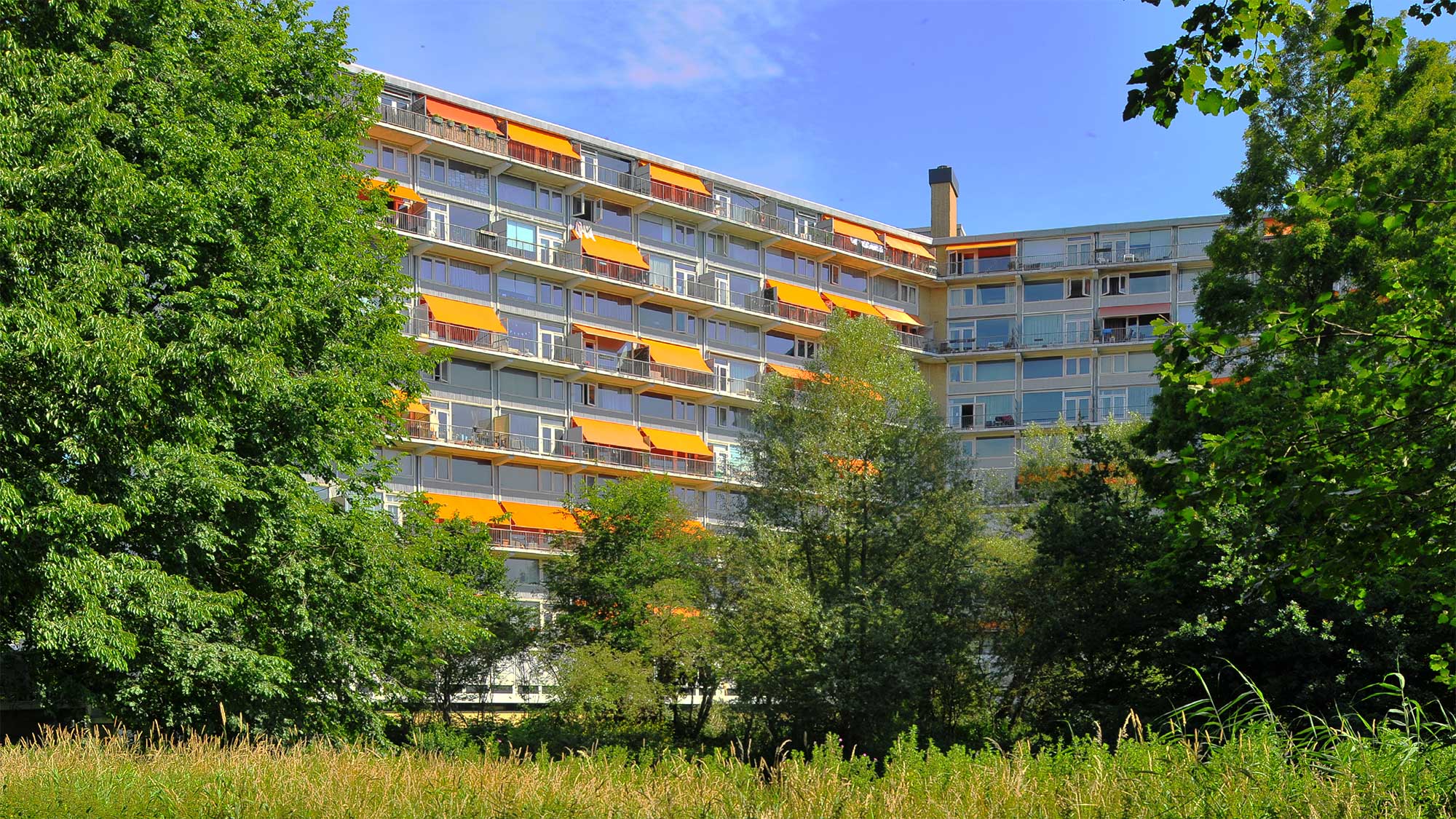 Baden Powellweg (Amsterdam)